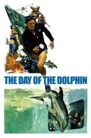 Il giorno del delfino